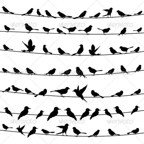 Bird Silhouette Tattoo my dad and I used to play bird on a wire, this would be something dainty and significant Stencil Pictures, Bird Silhouette Tattoos, Birds Silhouette, Swallow Bird Tattoos, Silhouette Tattoo, Bird Silhouettes, Bird On A Wire, Peace Bird, Birds On A Wire