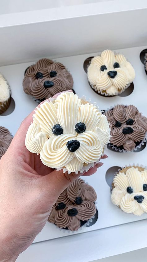 hannah • cupcake & cake artist on Instagram: “Bichon, Maltese, Poodle, Bolognese, Lhasa Apso, Coton de Tulear, or Havanese Which breed does this pupcake most resemble?🐶 . I’ve…” Doggie Treats, Mom Cake, Animal Cupcakes, Floral Cupcakes, How To Make Cupcakes, Animal Cake, Easter Cupcakes, Themed Cupcakes, Cupcake Muffins