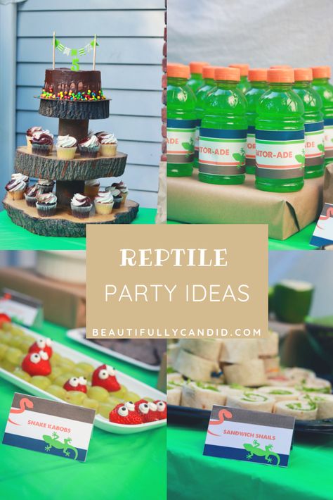 Reptile Birthday Party-Party Decor, Food Ideas Critter Keeper Party, Reptile Theme Party Food, Snake Party Food Ideas, Reptile Dessert Table, Reptile Party Decor, Reptile Bday Party Ideas, Reptile Birthday Party Food Ideas, Gecko Party Ideas, Salamander Birthday Party