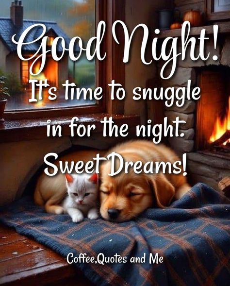 It's Time To Snuggle In For The Night. Good Night & Sweet Dreams Pictures, Photos, and Images for Facebook, Tumblr, Pinterest, and Twitter Tumblr, Funny Good Night Pictures, Inspirational Good Night Messages, Goodnight Cute, Beautiful Good Night Messages, Sweet Dreams Pictures, Good Night Blessings Quotes, Funny Good Night Images, Dreams Pictures