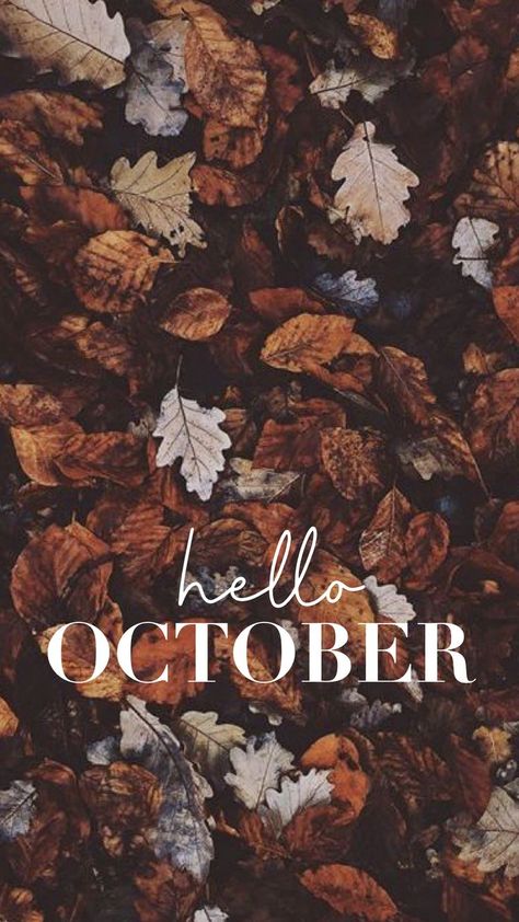 October Screensavers For Iphone, Happy October Images, October Fall Wallpaper, October Pictures Fall, October Vision Board, October Wallpaper Backgrounds, October Vibes Wallpaper, October Quotes Fall, Happy October Quotes