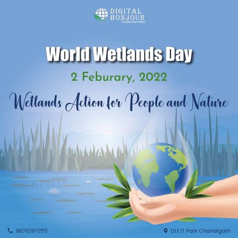 World Wetlands Day is celebrated to raise attention concerning the importance of wetlands. The adoption of the Convention on Wetlands is also marked on this date. This year, World Wetlands Day is observed as the United Nations International Day for the first time. The motto for this year is a call to action for wetlands. #wetlandsday2022 #wetlandsconservation #wetlandwednesday #wetlandrestoration #wetlandsforourfuture #wetlandscentre #wetlandsmatter #wetlandsinternational #wetlandscience Web Development, World Wetlands Day, International Day, Web Designer, Call To Action, Seo Tips, Seo Marketing, Ecosystem, Best Web