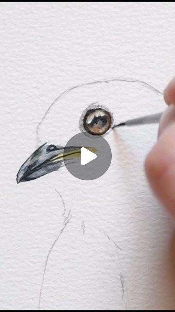 Kiley Busko on Instagram: "Eastern Bluebird watercolor" How To Draw A Bird House, Eastern Bluebird Painting, Watercolor Animals Paintings, Watercolor Animals Simple, Watercolor Birds Easy, Watercolor Paintings Tutorials Beginners, Watercolor Bluebird, Watercolor Birds Tutorial, Blue Bird Painting