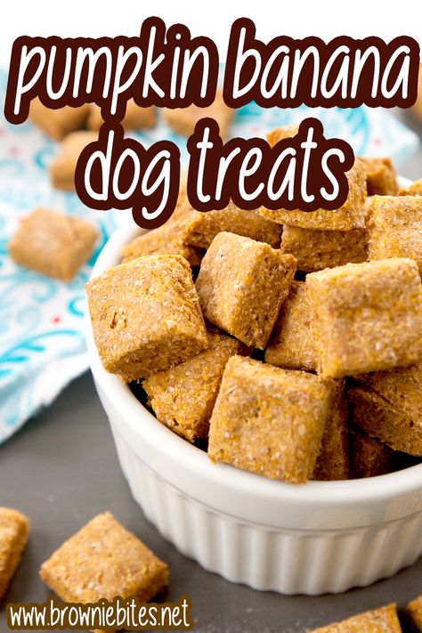 Pumpkin Banana Dog Treats - Brownie Bites Blog Pumpkin Banana Dog Treats, Banana Dog Treats, Foods Dogs Can Eat, Pet Treats Recipes, Concrete Painting, Dog Treats Homemade Easy, Easy Dog Treat Recipes, Dog Biscuit Recipes, Easy Dog Treats