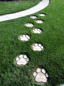 Outdoor Dog Decor, Digging Area For Dogs, Home Ideas For Dogs, Dog Park Plan Design, Dog Shelter Ideas Outdoor Diy, Home Dog Park, Cute Dog Room, Dog Pen Ideas Outdoor, Dog Park Ideas