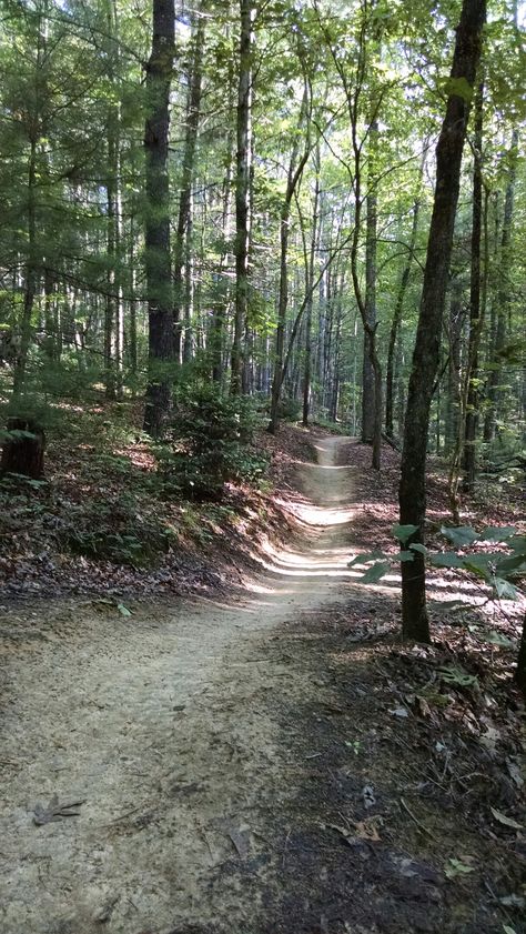 Classic Ridgeline trail in Dupont State Recreational Forest. Nature, Mountain Bike Photography, Motocross Tattoo, Street Bike Helmets, Cycling Tattoo, Mountain Bike Tattoo, Biking Trail, Mountain Biking Photography, Types Of Bikes