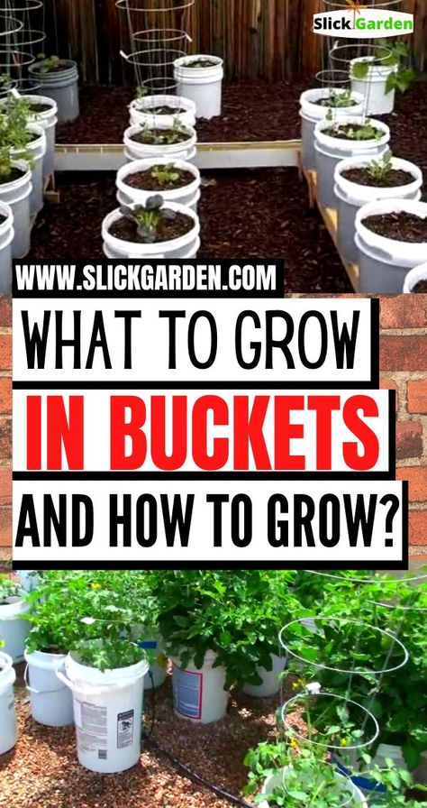 Bucket Garden, Growing Vegetables In Pots, Gemüseanbau In Kübeln, Bucket Gardening, Vegetable Garden Planning, Indoor Vegetable Gardening, Grow Vegetables, Vegetable Garden Diy, Backyard Vegetable Gardens