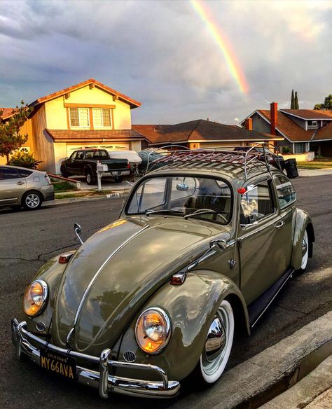 VW Fusca Beetle Sandakan, Volkswagen Beetle Vintage, Van Vw, Vw Sedan, Vw Karmann Ghia, Vw Classic, Classic Volkswagen, Beetle Car, Volkswagen Bug