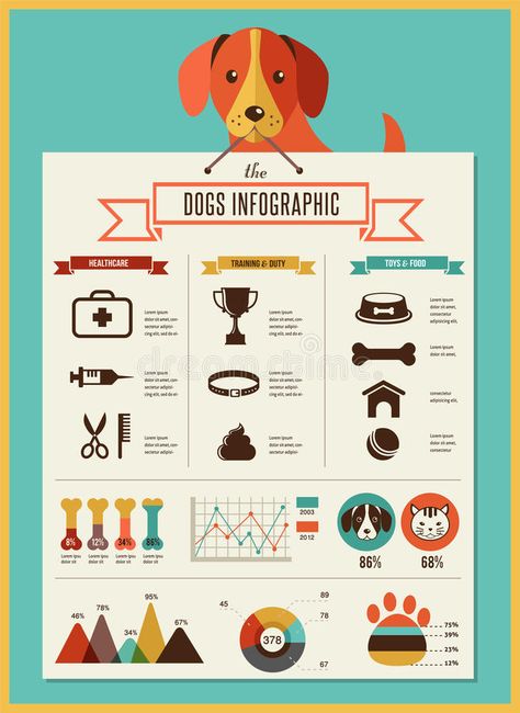 Dogs infographic and icon set. Dogs infographics - vector illustration and icon , #AFFILIATE, #icon, #infographic, #Dogs, #set, #illustration #ad Dogs Infographic, Animal Infographic, Dog Infographic, Vector Dog, Data Map, Infographic Illustration, Dog House Diy, Really Cute Dogs, Dog Vector