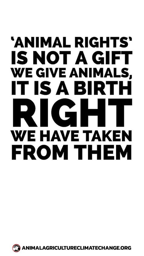 Animal Rights Quotes, Vegan Facts, Vegan Vibes, Vegan Memes, Animal Activism, Animal Agriculture, Animal Liberation, Vegan Quotes, Stop Animal Cruelty