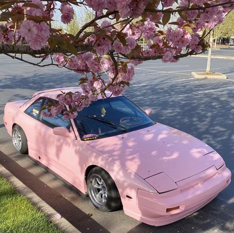𝟒𝟒𝟒 on Twitter: "Ah to be a pink 240sx underneath a blossom tree… " Old Japanese Cars, To Fast To Furious, Best Jdm Cars, Girly Car, Pimped Out Cars, Car Aesthetic, Nissan Silvia, Honda S2000, Mitsubishi Lancer Evolution