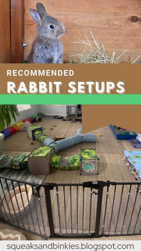 Rabbit Enclosures Outdoor, Diy Rabbit Furniture, Rabbit Tunnel Diy, Diy Rabbit Enclosure Indoor, Rabbit Outdoor Enclosure, Rabbit Enclosure Ideas, Rabbit Enrichment Ideas, Diy Indoor Rabbit Enclosure, Rabbit Enclosure Indoor