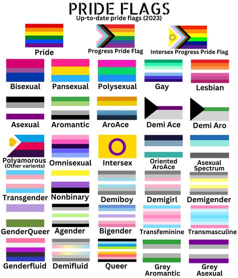 Croquis, Panplatonic Flag, Polarsexual Flag, Flag Meanings Pride, What Do All The Pride Flags Mean, Rare Lgbtq Flags, Pride Month Flags, Lgbtq Flags Meanings, Sexuality Flags And Meanings