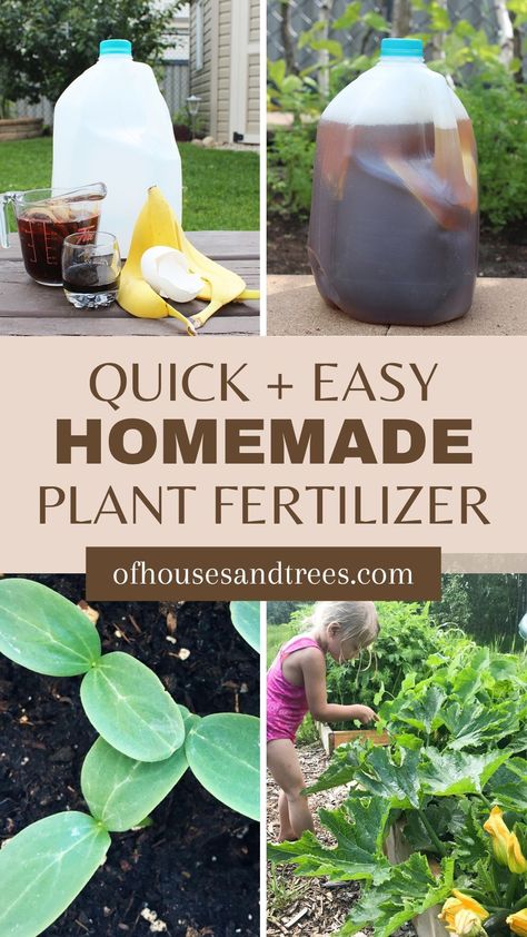 Gardening should be enjoyable - not hard. This easy plant fertilizer recipe will make taking care of your plant babies a whole lot simpler. With just a few ingredients you can find in your kitchen, you can bet your plants will be happy! How To Make Plant Food At Home, Homemade Plant Fertilizer Recipe, How To Make Fertilizer At Home, Homemade Garden Fertilizer, Homemade Fertilizer For Vegetables, Flower Fertilizer Homemade, Natural Garden Fertilizer, How To Make Fertilizer For Plants, Diy Plant Fertilizer How To Make