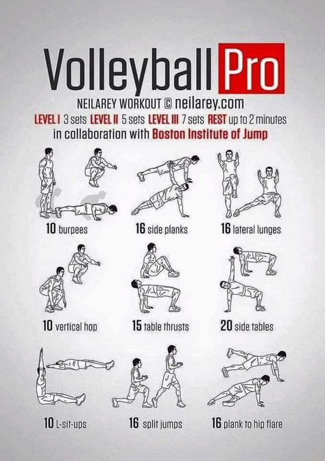 Pin by NM16 on GYM INSPIRATION | Volleyball workouts, Volleyball conditioning, Basketball workouts Workouts Volleyball, Vertical Workout, Vertical Jump Workout, Volleyball Conditioning, Proper Running Technique, Jump Workout, Nate Robinson, Vertical Jump Training, Running Techniques