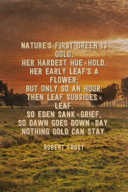 Nature's first green is gold, <br>Her hardest hue to hold. <br>Her early leaf's a flower; <br>But only so an hour. <br>Then leaf subsides to leaf. <br>So Eden sank to grief, <br>So dawn goes down to day. <br>Nothing gold can stay. - Robert Frost |: Nothing Gold Can Stay Wallpaper, Stay Gold Poem, The Outsiders Gif, The Outsiders Quotes, The Outsiders Imagines, Robert Frost Poems, The Outsiders 1983, Nothing Gold Can Stay, Robert Frost