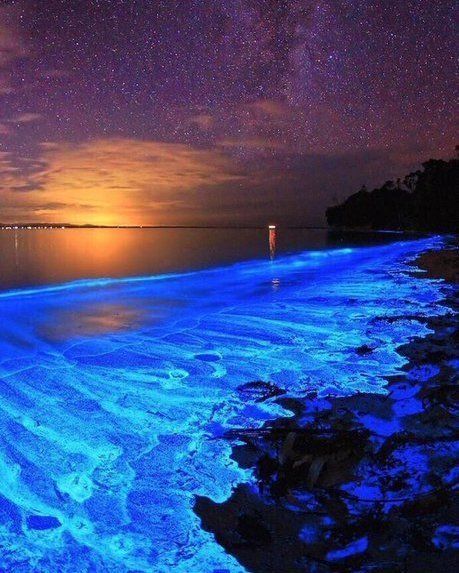 Bioluminescent plankton at Night Via; @FeeIingsBible Amazing Nature, Jervis Bay, Sea Of Stars, Wallpaper 3d, Australia Travel, Wallpaper Hd, Maldives, Belle Photo, Beautiful Beaches