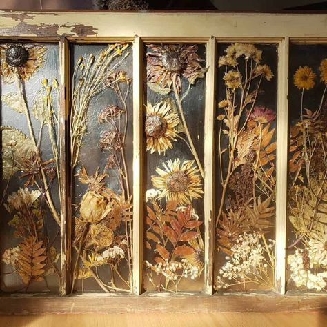 Window Frame Crafts Ideas, Crafts Using Old Picture Frames, Antique Window Frame Ideas Diy Projects, Old Window With Pictures, Upcycled Old Windows, Refurbished Window Frames, Antique Windows Decor, Old Window Upcycle, Antique Window Panes Decorating Ideas