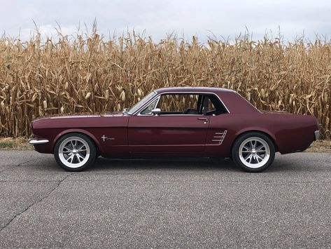 1966 Ford Mustang Coupe, 1960 Mustang, 60s Mustang, Mustang 1968, 68 Ford Mustang, 66 Ford Mustang, Mustang Wheels, 66 Mustang, 65 Mustang
