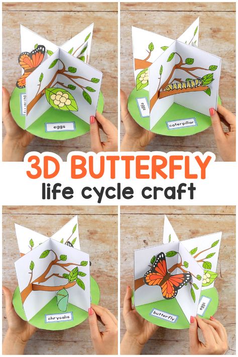 3D Butterfly Life Cycle Craft - Easy Peasy and Fun Butterfly Stages Life Cycles, Butterfly Cycle Project, Butterflies Life Cycle, 3d Life Cycle Of A Butterfly Craft, The Life Cycle Of A Butterfly, Cycle Butterfly, Butterfly Life Cycle Craft, Butterfly Model, Cycle For Kids