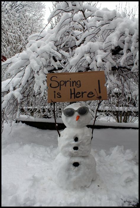 Amigurumi Patterns, Humour, Winter Humor, London Snow, Snow Humor, Spring Funny, Funny Snowman, Spring Snow, I Love Snow