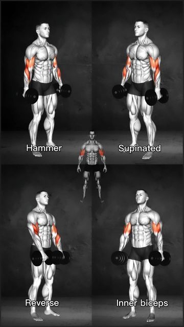 Mens Bicep Workout, Bicep Workout Gym, Dumbbell Bicep Workout, Killer Arm Workouts, Full Arm Workout, Arm Workout Men, Biceps Curl, Back And Bicep Workout, Dumbbell Arm Workout