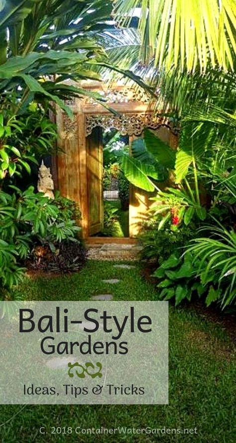 Tropical Backyard Landscaping, Small Tropical Gardens, Bali Garden, Tropical Landscape Design, Balinese Garden, Balinese Style, Funny Vine, Container Water Gardens, Tropical Garden Design