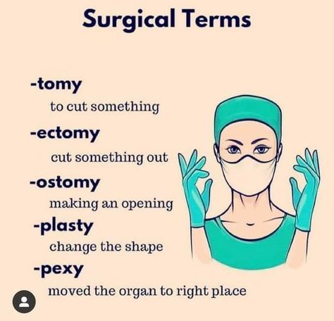 Surgical Terms, Medical Terminology Study, Medical Assistant Student, Organizator Grafic, Nursing School Essential, Kedokteran Gigi, Medical School Life, Nursing School Motivation, Nurse Study Notes