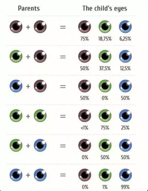 Eye color gene probability chart Useful Life Hacks, Writing Prompts, Writing Tips, Eye Color Chart Genetics, Eye Color Chart, The More You Know, Weird Facts, Future Kids, Things To Know