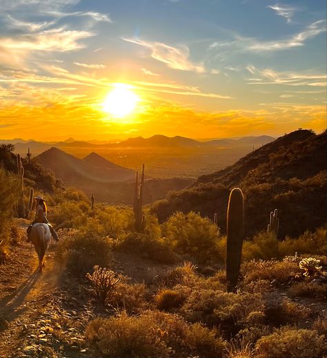 Beautiful sunset on horseback in Cave Creek, AZ Summer List, Cave Creek Az, Cave Creek, On Horseback, Christmas Break, Reference Photos, Beautiful Sunset, Art Reference Photos, Art Reference