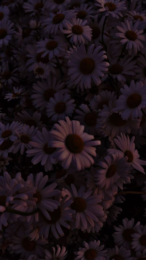 Dark Spring Background, Black Aesthetic Wallpaper Flower, Asthetic Wallper Background, Flower Wallpaper Dark, Phone Backgrounds Dark, Iphone Background Dark, Dark Spring Aesthetic, Dark Flowers Wallpaper, Dark Asthetics Wallpers