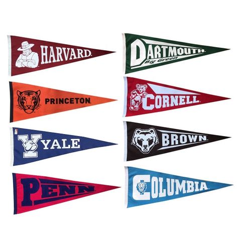 Ivy League Party Theme, July Vibes, School Pennant, Jeff Staple, College Pennants, Dream University, Patriotic Banner, College Flags, The Ivy League