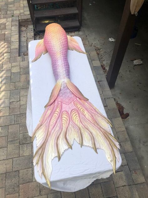 Mermaid Tails Aesthetic, Tails Aesthetic, Mermaid Tail Aesthetic, Silicone Mermaid Tail, Mermaid Light, Pink Mermaid Tail, Mermaid Inspiration, Realistic Mermaid Tails, Mermaid Tales