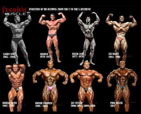 Evolution of Mr. Olympia: the Y to the X Aesthetic Mr Olympia Winners, Lee Haney, Dexter Jackson, Best Bodybuilder, Dorian Yates, Jay Cutler, Ronnie Coleman, Sport Nutrition, Bodybuilders Men