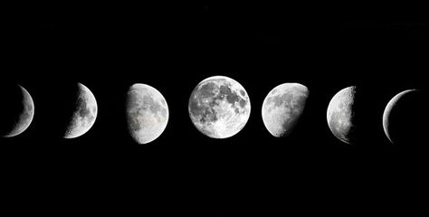 Moon Guide: Lunar Signs and Phases  — The Hoodwitch Moon Phase Art, Types Of Witchcraft, Moon Salutation, Green Witchcraft, Earth Pictures, Baby Witch, Moon Cycles, Moon Signs, Spells Witchcraft