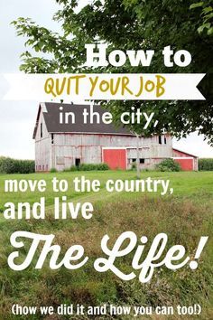 A step-by-step guide to how we left the city life and moved to a big property in the country before the age of thirty. You could too! Living In Countryside, Living In The Country, Quitting Job, Ant Killer, Homestead Farm, Farm Living, Future Farms, Farmhouse Decorating, Permaculture Design