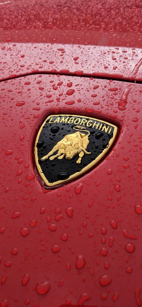 Lamborghini Aventador, Lamborghini Gallardo, Lamborghini Huracan, Lamborghini Veneno, super car Lamborghini, exotic car Lamborghini, luxury car Lamborghini, sports car Lamborghini, super car, exotic car, luxury car, sport car, supercars, modified cars, abondoned cars, cars wallpaper, Lamborghini wallpaper, hd wallpaper, hd car wallpaper New Tesla Roadster, Lamborghini Logo, Cool Truck Accessories, Sports Cars Lamborghini, Qhd Wallpaper, Aesthetic Car, Car Organization, Ford Mustang Car, Car Decorations