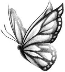 Butterfly Sketch, Tattoo Butterfly, Seni 3d, Seni Cat Air, Butterfly Drawing, 인물 드로잉, Sketches Simple, Butterfly Watercolor, Pencil Art Drawings