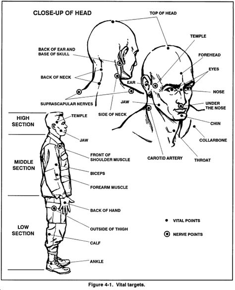 Nerve points, and where to strike to take down an attacker. Krav Maga Kids, Krav Maga Techniques, Karate Shotokan, Krav Maga Self Defense, Learn Krav Maga, Forearm Muscles, Self Defense Tips, Hand To Hand Combat, Self Defense Techniques