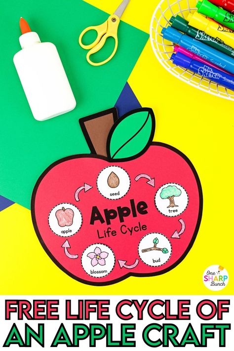 Paper Apple Craft, Apple Life Cycle Craft, Preschool Apple Unit, Life Cycle Of An Apple, Thanksgiving Math Games, Life Cycles Preschool, Halloween Math Games, Ten Frame Activities, Apple Life Cycle