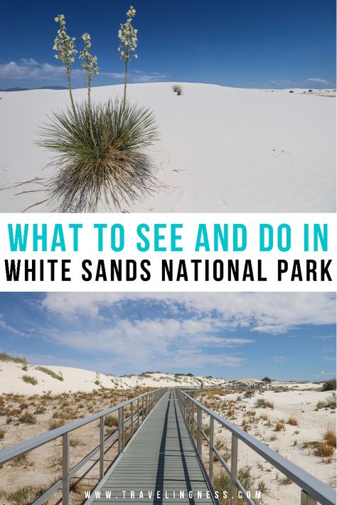 View of the white sand dunes with a small plant and the metal boardwalk on Interdune Trail at White Sands National Park. White Sand National Park New Mexico, New Mexico White Sands, Arizona And New Mexico Road Trip, White Sand Dunes New Mexico, White Sand National Park, White Sand Dunes, New Mexico Travel, New Mexico Vacation, White Sands New Mexico