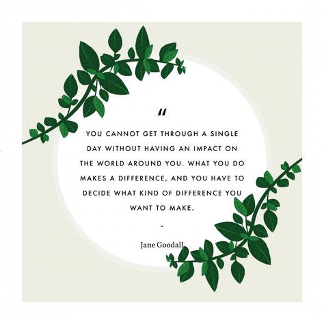 Jane Goodall Quotes, Wildlife Quotes, Eco Quotes, Sustainability Quotes, Environmental Quotes, Environment Quotes, Best Speeches, Jane Goodall, David Attenborough