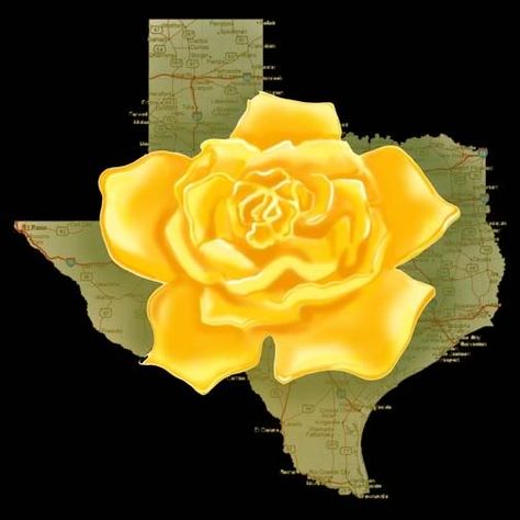 "There's a yellow rose in Texas, that I am going to see. Her eyes are bright as diamonds, they sparkle like the sea".... I used to sing this in elementary school during music class and I still find myself humming the tune to this day. Yellow Rose Of Texas, Texas Tattoos, Only In Texas, Texas Life, Republic Of Texas, Texas Forever, Loving Texas, Texas Art, Texas Girl