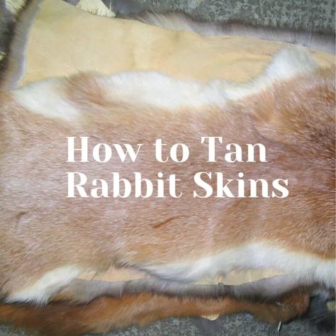 Deer Pelt Ideas, Canning Rabbit Meat, Tanning Rabbit Hides, What To Do With Rabbit Pelts, Rabbit Pelt Projects, Tanning Deer Hide, Tanning Hides, Raising Rabbits For Meat, Rabbit Hide