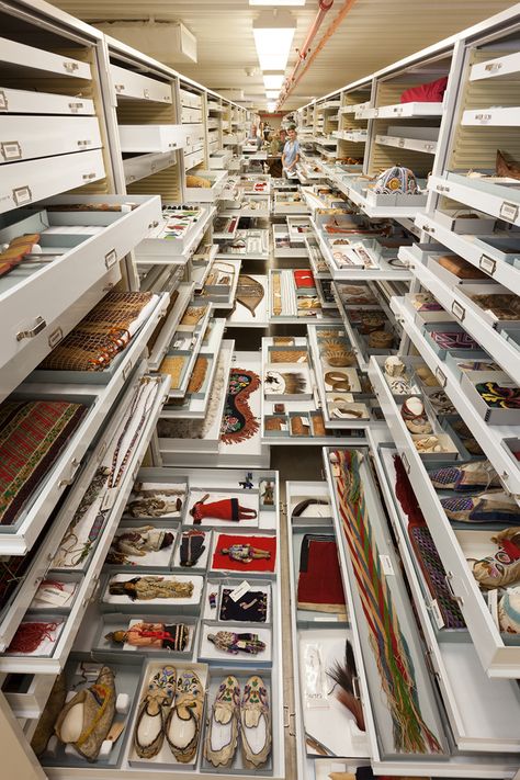 backroom-storage-at-the-smithsonian-natural-history-museum-designboom-02 Museum Storage, National Museum Of Natural History, Museum Curator, Things Organized Neatly, Museum Studies, Smithsonian Museum, Secret Storage, Museum Displays, Museum Of Natural History