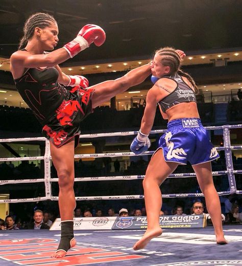 Anissa Meksen #kickboxing #muay #thai #fight #kick #knockout #women Female Muay Thai Fighter, Muay Thai Aesthetic, Kickboxing Motivation, Muay Thai Women, Kickboxing Women, Boxer Aesthetic, Muay Thai Gym, Muay Thai Martial Arts, Mma Girls