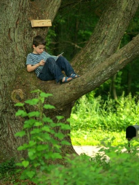 encourage reading outside in breaks and lunchtime as well as lesson periods - maybe reward house points or similar if 'caught reading' during free time?.... Outdoor Reading Nooks, Outdoor Reading, Reading Tree, John Wilson, People Reading, Reading Spot, Slow Travel, Lukisan Cat Air, Alam Semula Jadi