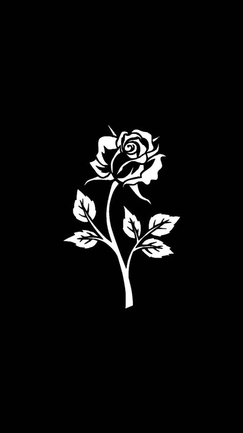 Black wallpaper on phone with white rose White Rose Black Background, Rose Black Background, Wallpaper On Phone, Black Background Aesthetic, Wallpaper Instagram, Black And White Art Drawing, Background Aesthetic, On Phone, Rose Black