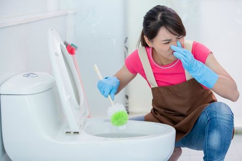 The secret to removing odors in your bathroom is to first determine the source. Once that is firmly established then there are remedies specific to each case. Read on for some helpful tips. Bathtub Replacement, Toilet Odor, Toilet Drain, Toilet Stool, Bathroom Odor, Urine Odor, Best Bathtubs, Bathroom Drain, Plumbing Problems