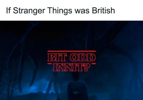 Best-Funny-British-Memes Pandas, Humour, British Memes Humor, British Memes Funny, British People Be Like, British Slander, England Meme, British Jokes, British Core